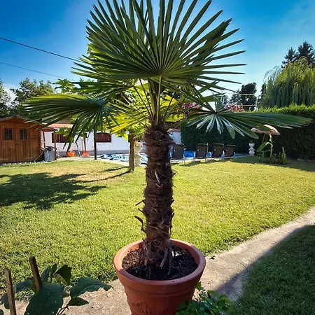 Apartmenthaus Claudia Апарт-отель Замарди